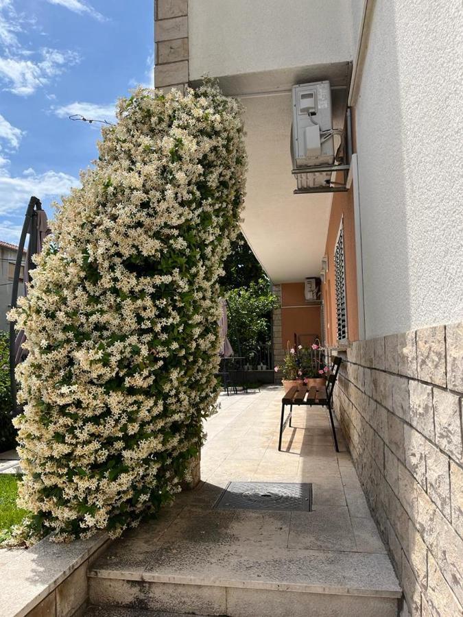 Апартаменты Apartman Cezar Стобрек Экстерьер фото